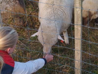 Kristina hand feeding Stompy.